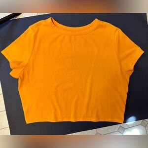 Wild Fable Crop T-shirt